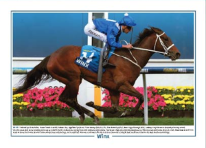 WINX (Framed)